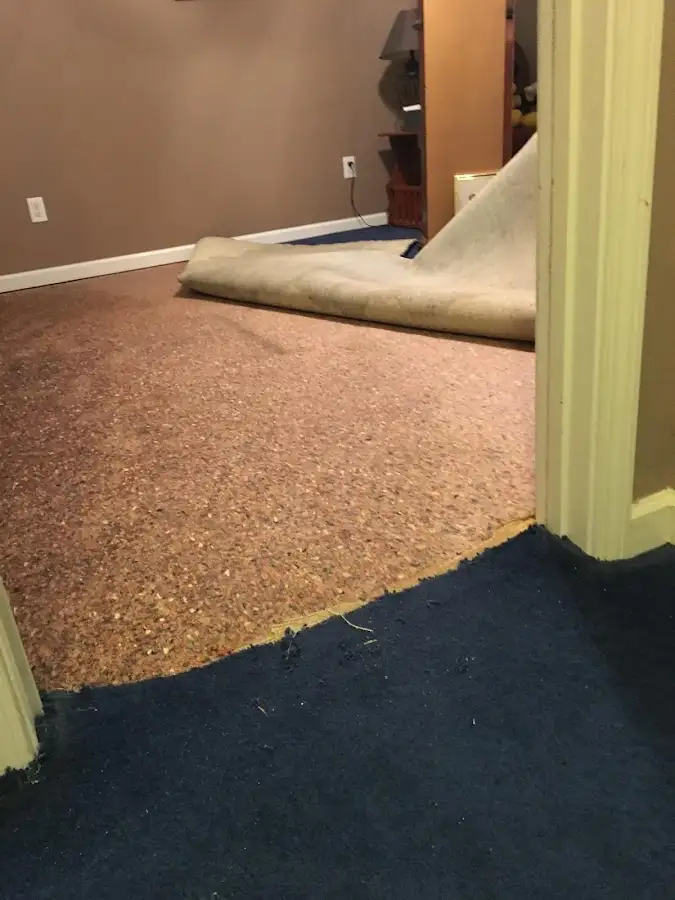 Carpet pad removal revealing water damage during Water Mitigation Services in Goldsboro