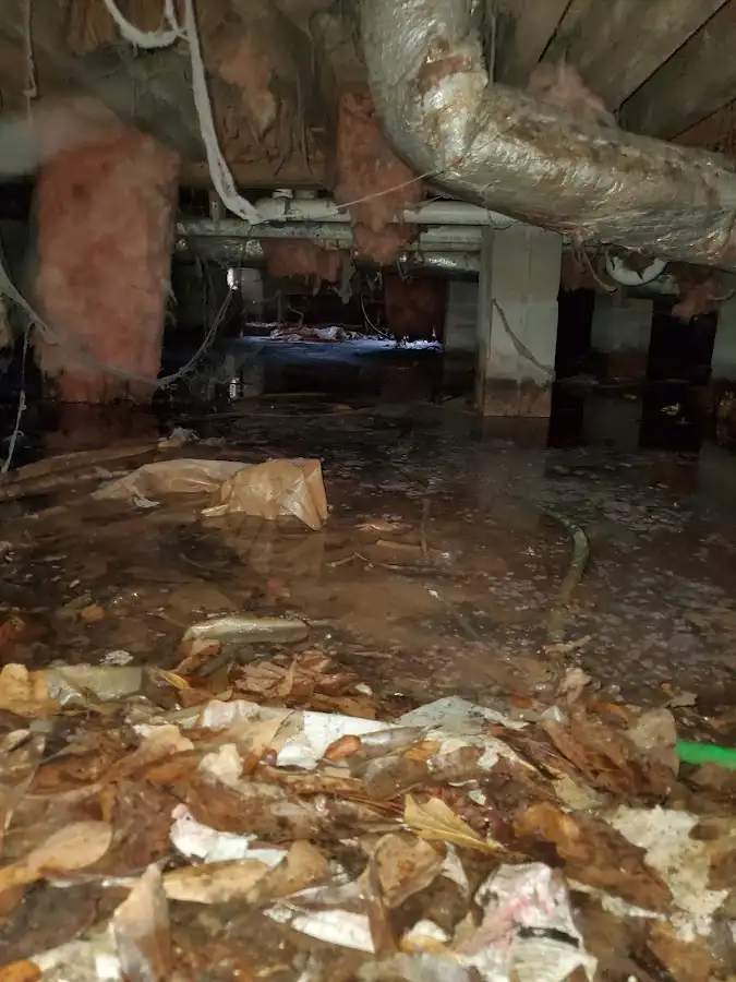 Crawl space flood assessment for Commercial Water Damage Restoration in Goldsboro