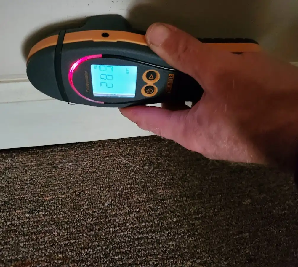 Moisture detection at baseboard during Burst Pipe Cleanup in Goldsboro